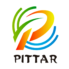 Pittar